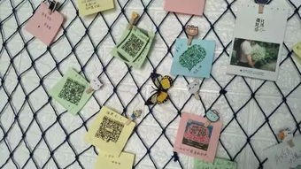 抖音同款撩漢把妹神器上線，助力社交環保新風尚